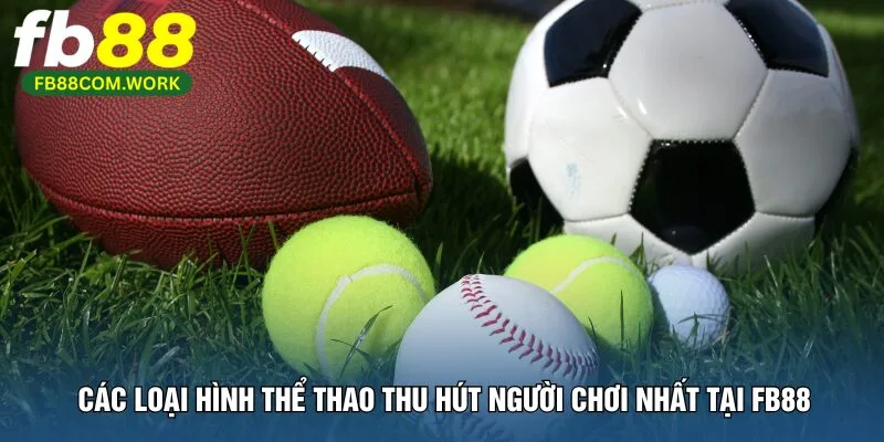 cac-loai-hinh-the-thao-thu-hut-nguoi-choi-nhat-tai-fb88
